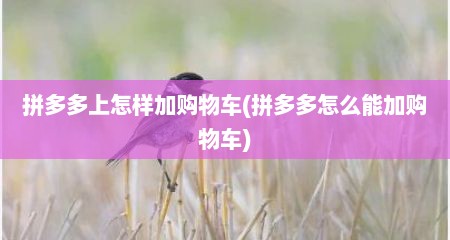 拼多多上怎样加购物车(拼多多怎么能加购物车)