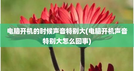 电脑开机的时候声音特别大(电脑开机声音特别大怎么回事)