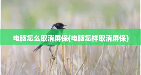 电脑怎么取消屏保(电脑怎样取消屏保)