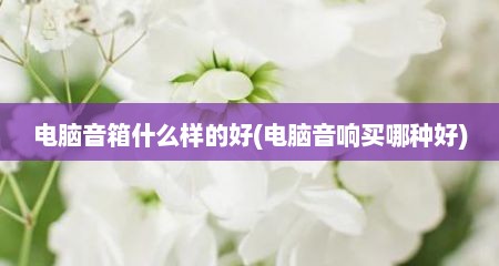 电脑音箱什么样的好(电脑音响买哪种好)