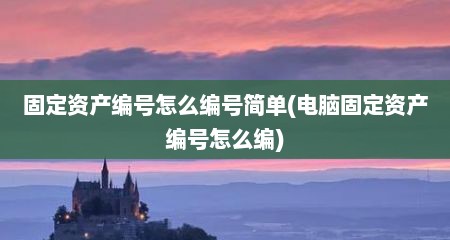 固定资产编号怎么编号简单(电脑固定资产编号怎么编)