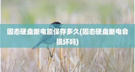 固态硬盘断电能保存多久(固态硬盘断电会损坏吗)