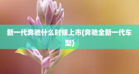 新一代奔驰什么时候上市(奔驰全新一代车型)