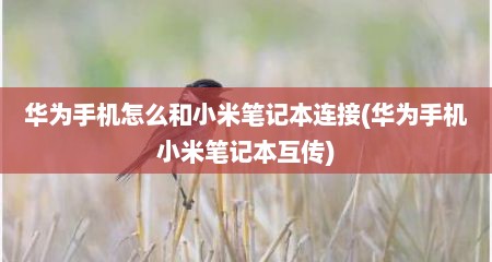 华为手机怎么和小米笔记本连接(华为手机小米笔记本互传)