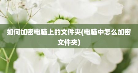 如何加密电脑上的文件夹(电脑中怎么加密文件夹)