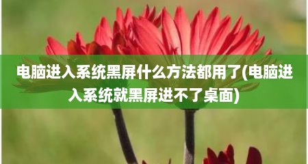 电脑进入系统黑屏什么方法都用了(电脑进入系统就黑屏进不了桌面)