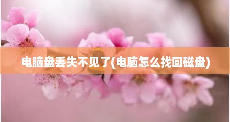 电脑盘丢失不见了(电脑怎么找回磁盘)