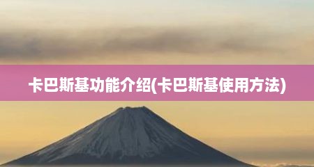 卡巴斯基功能介绍(卡巴斯基使用方法)