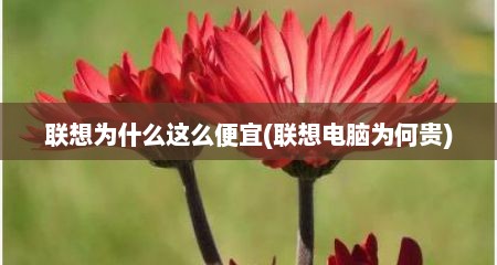 联想为什么这么便宜(联想电脑为何贵)