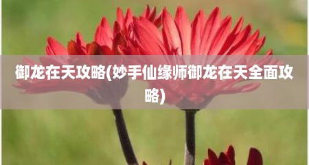 御龙在天攻略(妙手仙缘师御龙在天全面攻略)