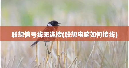 联想信号线无连接(联想电脑如何接线)