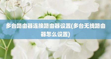 多台路由器连接路由器设置(多台无线路由器怎么设置)