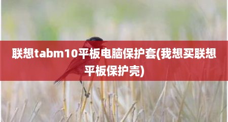 联想tabm10平板电脑保护套(我想买联想平板保护壳)