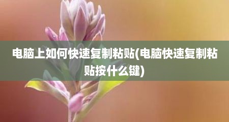 电脑上如何快速复制粘贴(电脑快速复制粘贴按什么键)