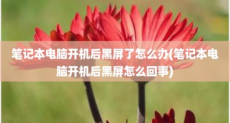 笔记本电脑开机后黑屏了怎么办(笔记本电脑开机后黑屏怎么回事)