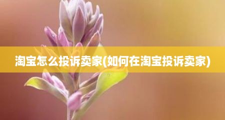 淘宝怎么投诉卖家(如何在淘宝投诉卖家)