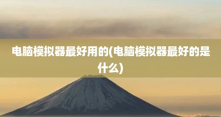 电脑模拟器最好用的(电脑模拟器最好的是什么)