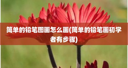 简单的铅笔图画怎么画(简单的铅笔画初学者有步骤)