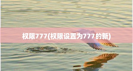 权限777(权限设置为777的新)