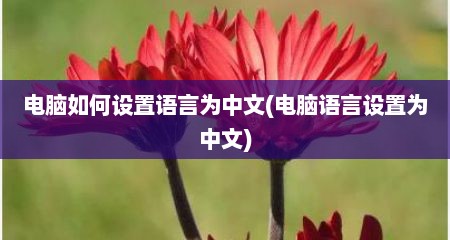 电脑如何设置语言为中文(电脑语言设置为中文)