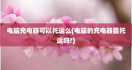 电脑充电器可以托运么(电脑的充电器能托运吗?)