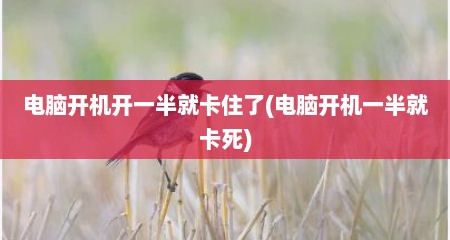 电脑开机开一半就卡住了(电脑开机一半就卡死)