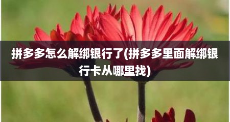 拼多多怎么解绑银行了(拼多多里面解绑银行卡从哪里找)