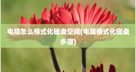 电脑怎么格式化磁盘空间(电脑格式化磁盘步骤)