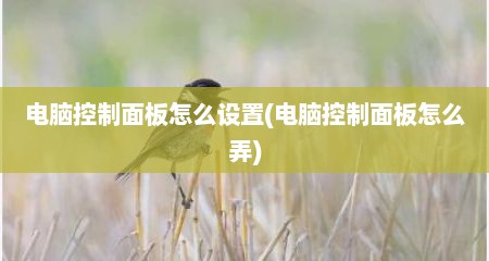 电脑控制面板怎么设置(电脑控制面板怎么弄)