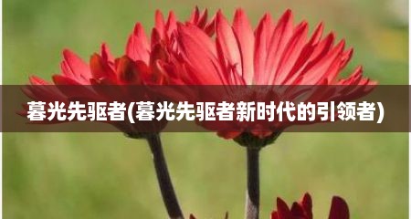 暮光先驱者(暮光先驱者新时代的引领者)