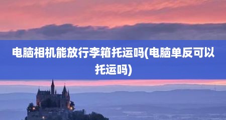 电脑相机能放行李箱托运吗(电脑单反可以托运吗)