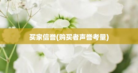 买家信誉(购买者声誉考量)