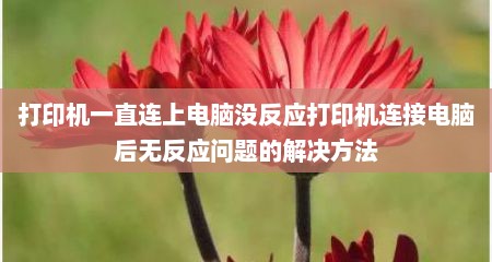 打印机一直连上电脑没反应打印机连接电脑后无反应问题的解决方法