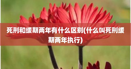 死刑和缓期两年有什么区别(什么叫死刑缓期两年执行)