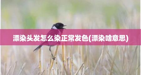 漂染头发怎么染正常发色(漂染啥意思)