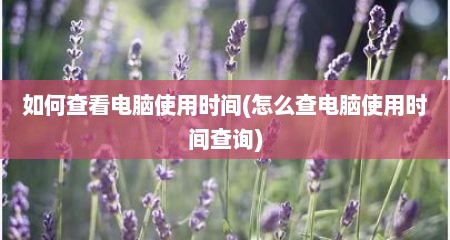 如何查看电脑使用时间(怎么查电脑使用时间查询)