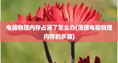 电脑物理内存占满了怎么办(清理电脑物理内存的步骤)