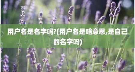 用户名是名字吗?(用户名是啥意思,是自己的名字吗)