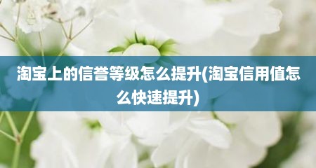 淘宝上的信誉等级怎么提升(淘宝信用值怎么快速提升)