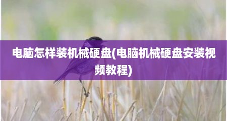 电脑怎样装机械硬盘(电脑机械硬盘安装视频教程)