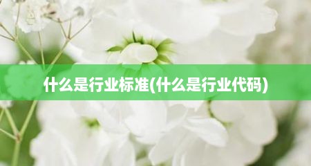 什么是行业标准(什么是行业代码)