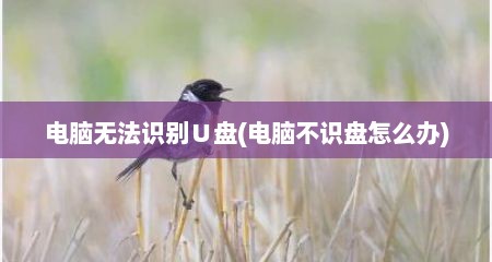 电脑无法识别∪盘(电脑不识盘怎么办)