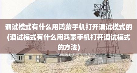 调试模式有什么用鸿蒙手机打开调试模式的(调试模式有什么用鸿蒙手机打开调试模式的方法)