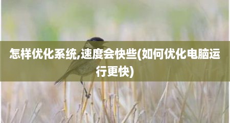 怎样优化系统,速度会快些(如何优化电脑运行更快)