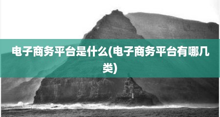 电子商务平台是什么(电子商务平台有哪几类)