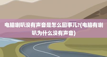 电脑喇叭没有声音是怎么回事儿?(电脑有喇叭为什么没有声音)