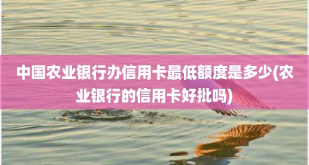 中国农业银行办信用卡最低额度是多少(农业银行的信用卡好批吗)