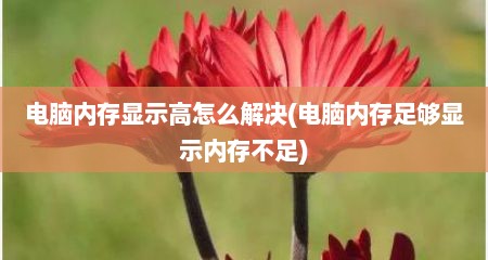 电脑内存显示高怎么解决(电脑内存足够显示内存不足)