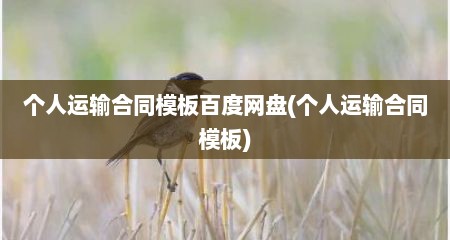 个人运输合同模板百度网盘(个人运输合同模板)