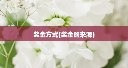 奖金方式(奖金的来源)